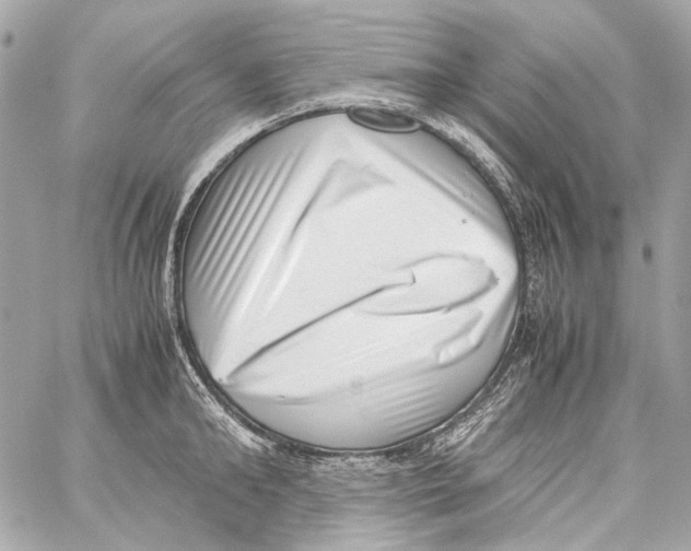 X0000059090902200511041844