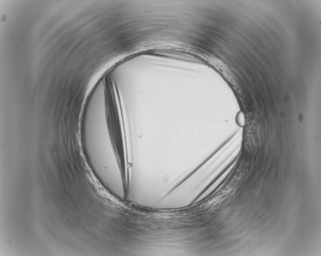 X0000059090904200511041844