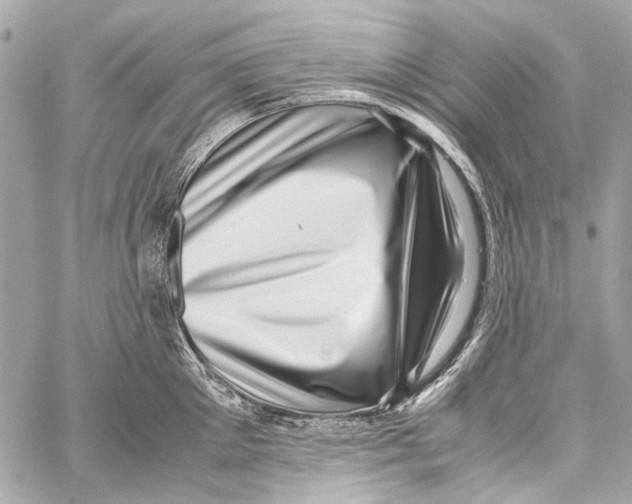 X0000059090905200511041844