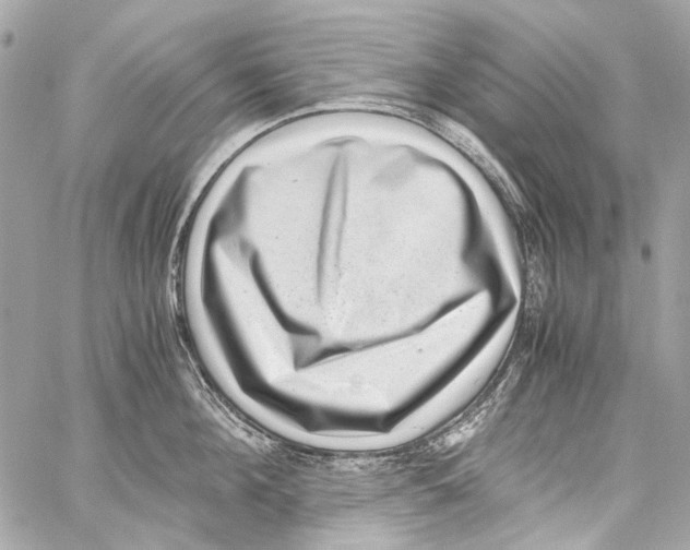 X0000059090908200511041844