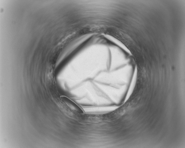 X0000059090914200511041843