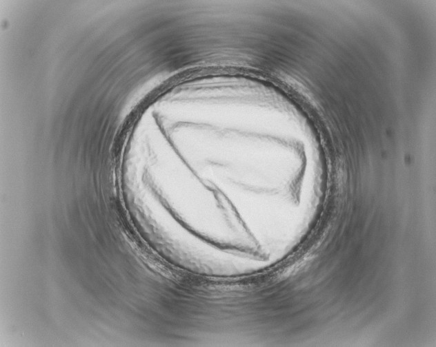 X0000059090925200511041843