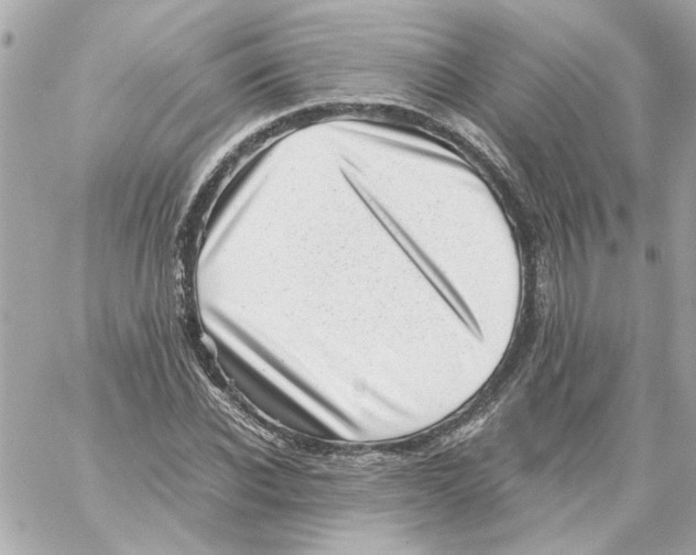 X0000059090926200511041843