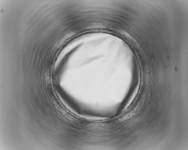 X0000059090929200511041843