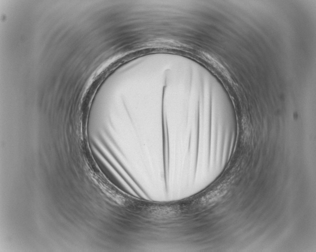 X0000059090931200511041843