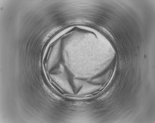 X0000059090938200511041843