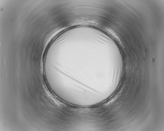 X0000059090940200511041844