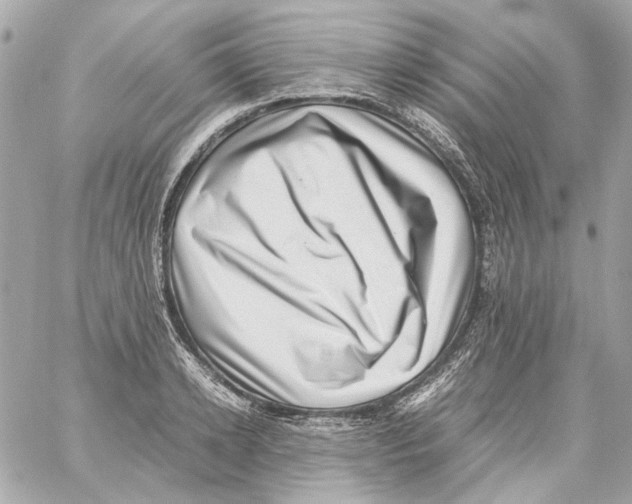 X0000059090942200511041844