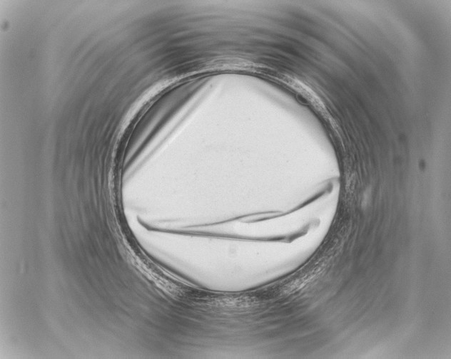 X0000059090947200511041844