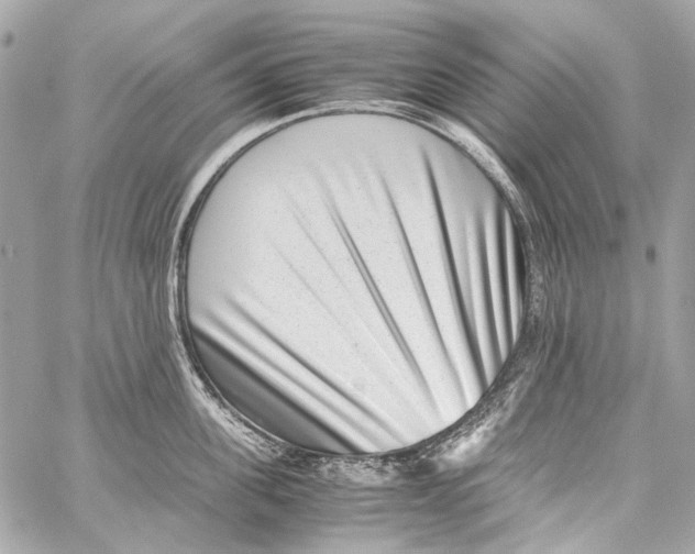 X0000059090955200511041844