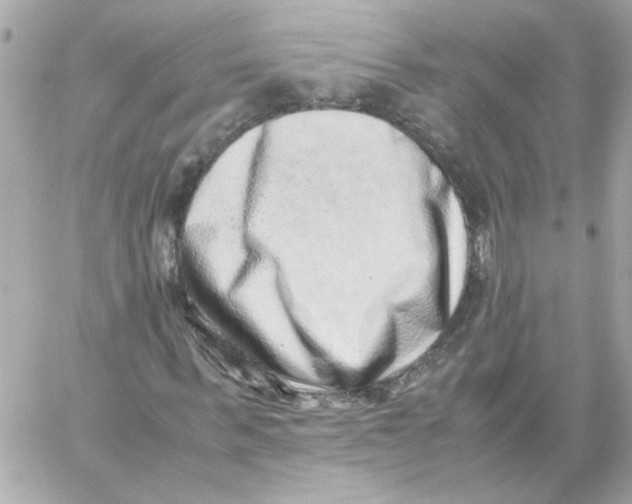 X0000059090963200511041843
