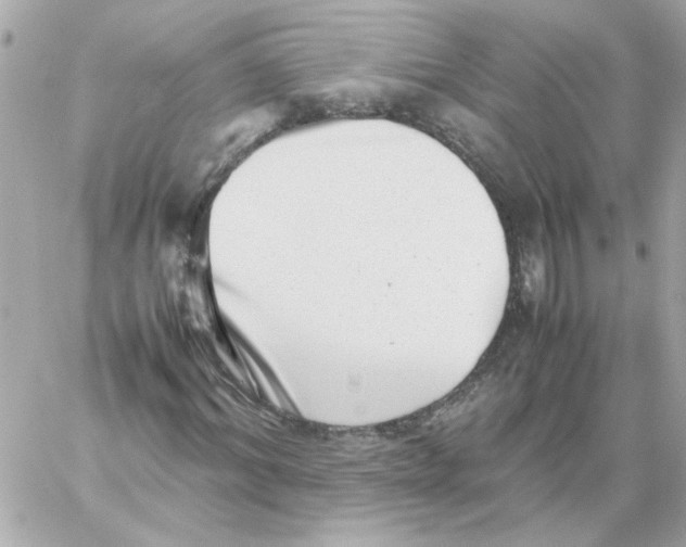X0000059090964200511041843