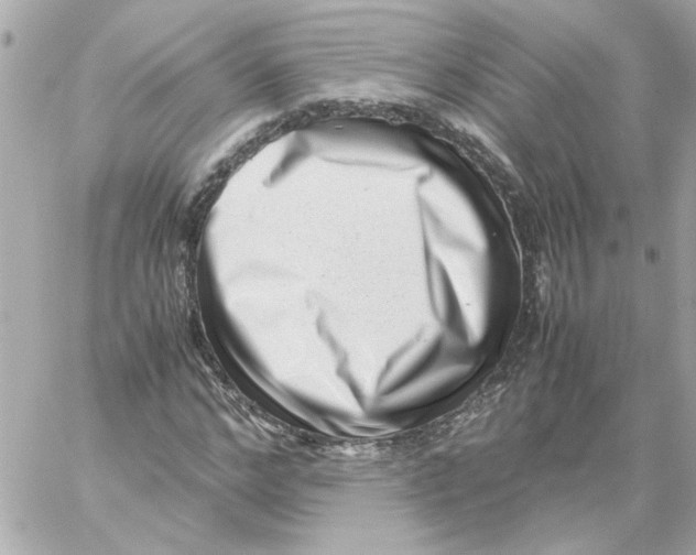 X0000059090968200511041843