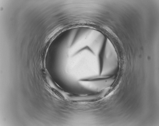X0000059090969200511041843