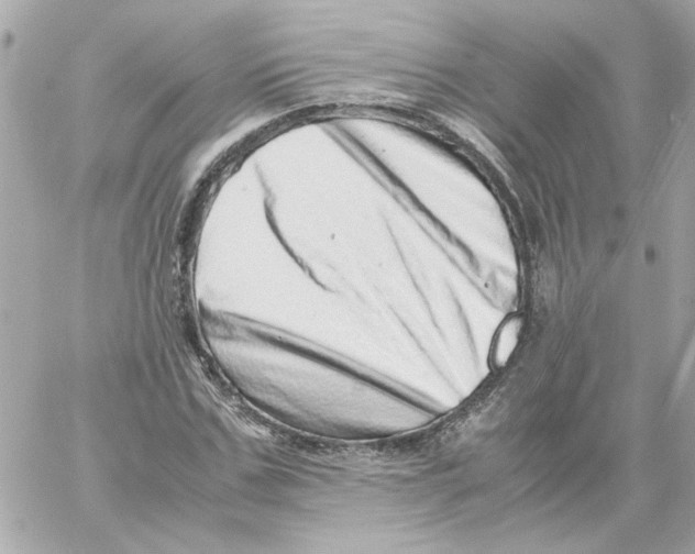 X0000059090971200511041843