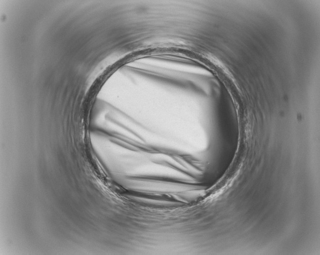X0000059090973200511041843