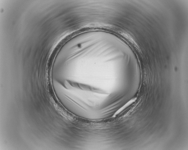 X0000059090976200511041843