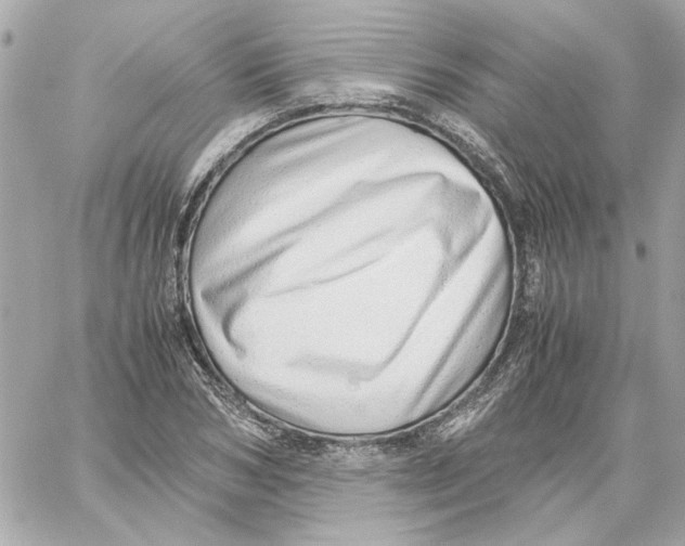 X0000059090978200511041843