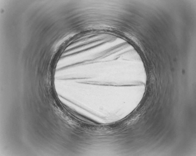 X0000059090979200511041843