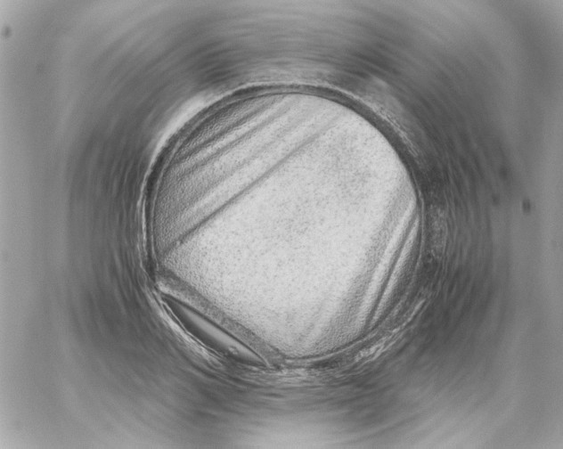 X0000059090982200511041843