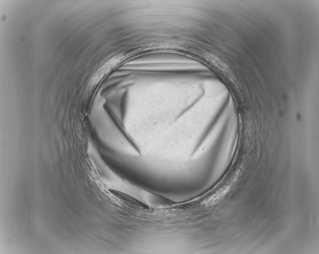 X0000059090985200511041843