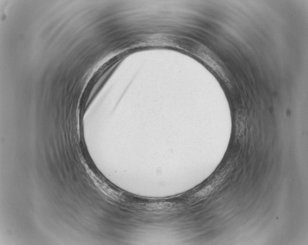 X0000059090988200511041843