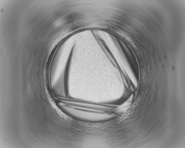 X0000059090991200511041843