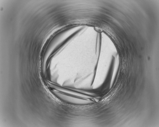 X0000059090992200511041843