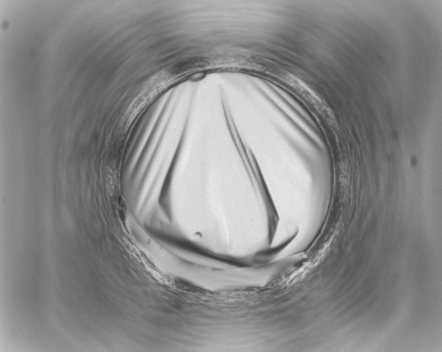 X0000059090993200511041843