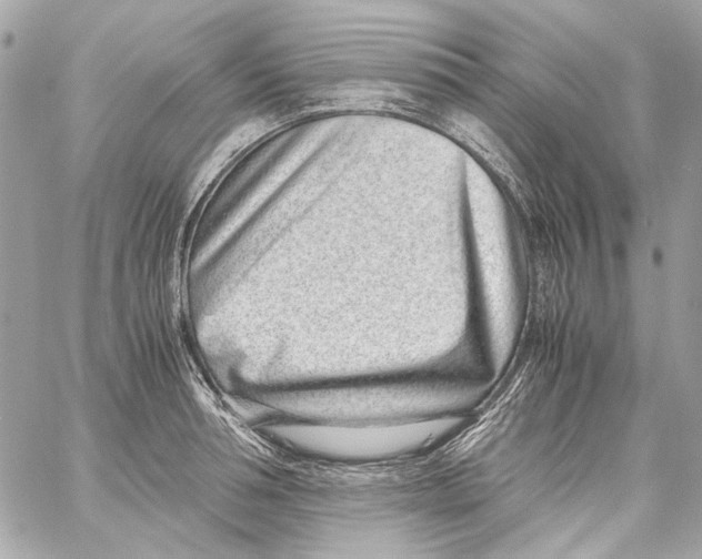 X0000059090994200511041843