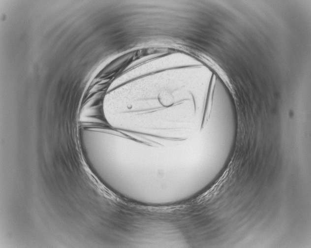 X0000059090996200511041842