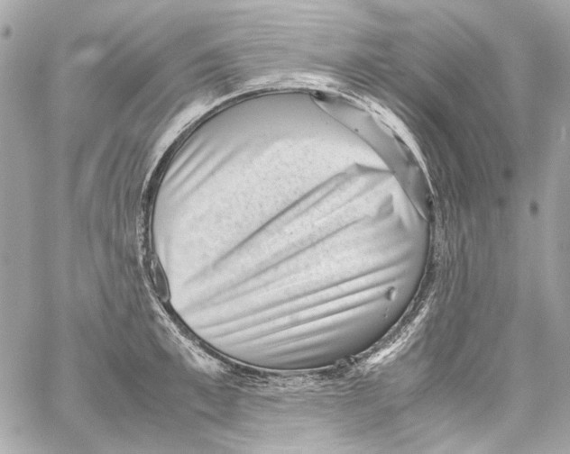 X0000059090997200511041842