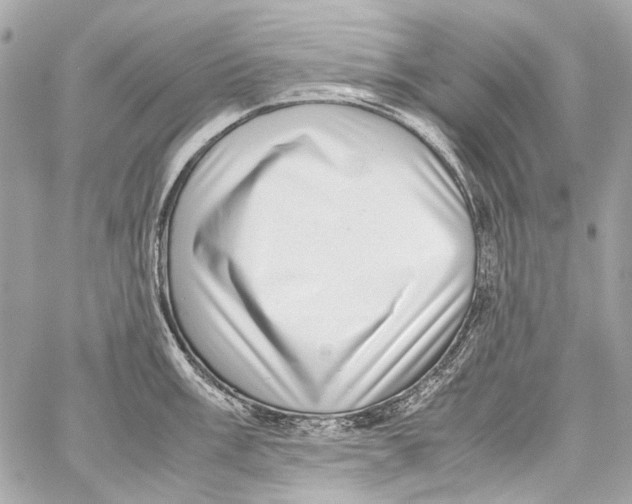 X0000059091003200511041842