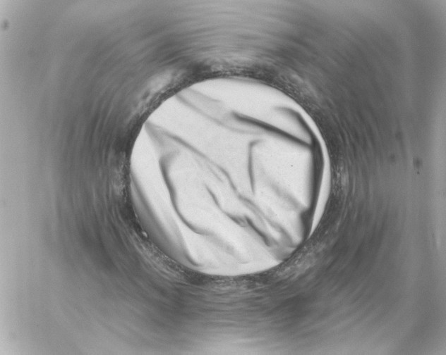 X0000059091012200511041842
