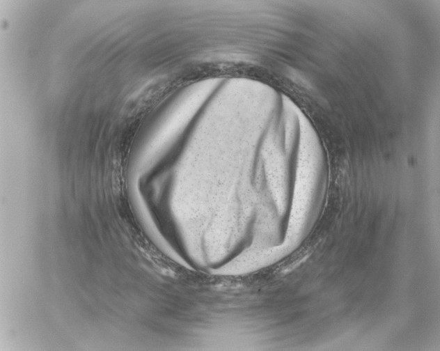 X0000059091014200511041842