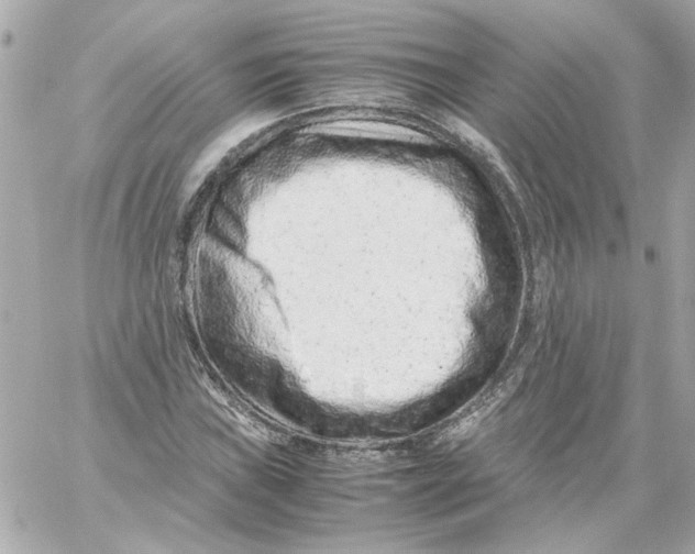X0000059091019200511041842