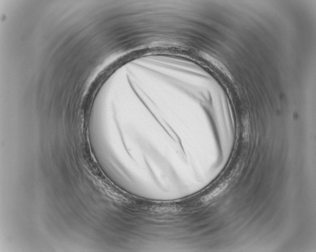 X0000059091021200511041842