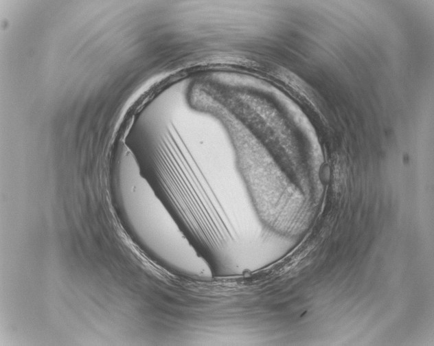 X0000059091024200511041842