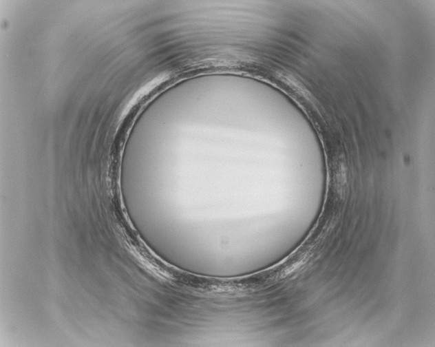 X0000059091026200511041842
