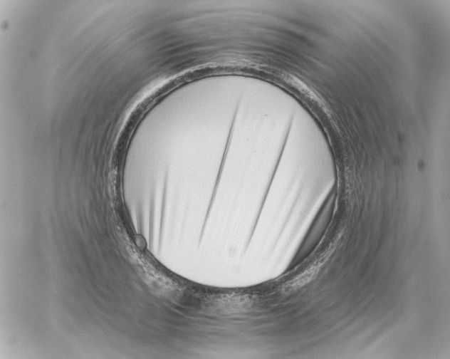 X0000059091029200511041842