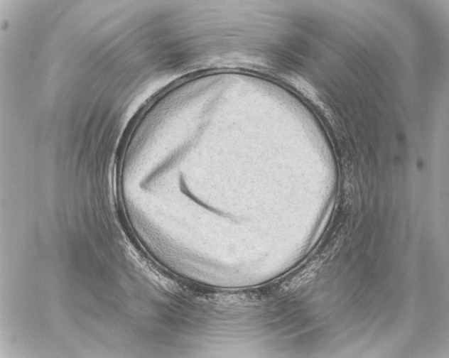 X0000059091032200511041842