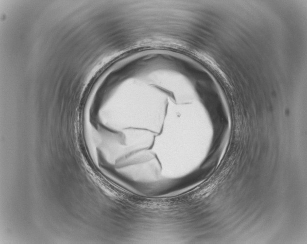 X0000059091040200511041842