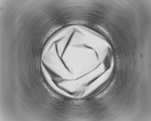X0000059091041200511041842