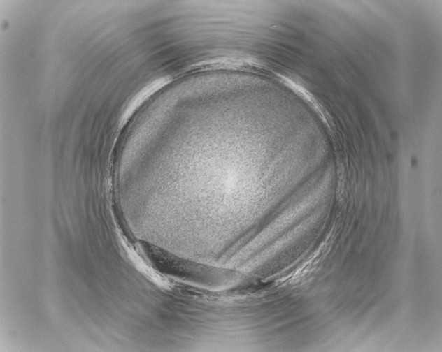 X0000059091042200511041842