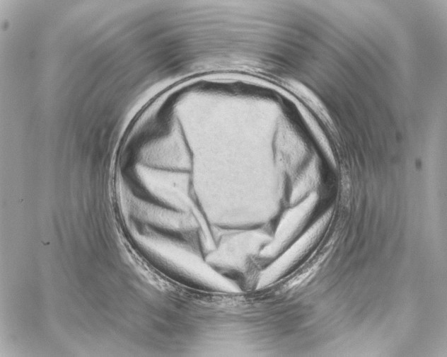 X0000059091052200511041842
