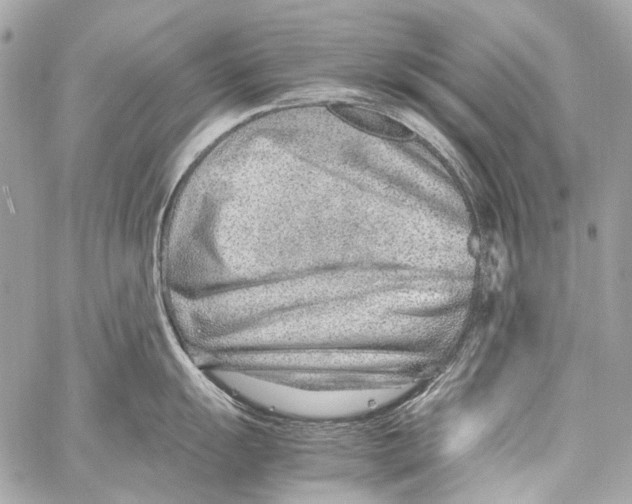 X0000059091055200511041842