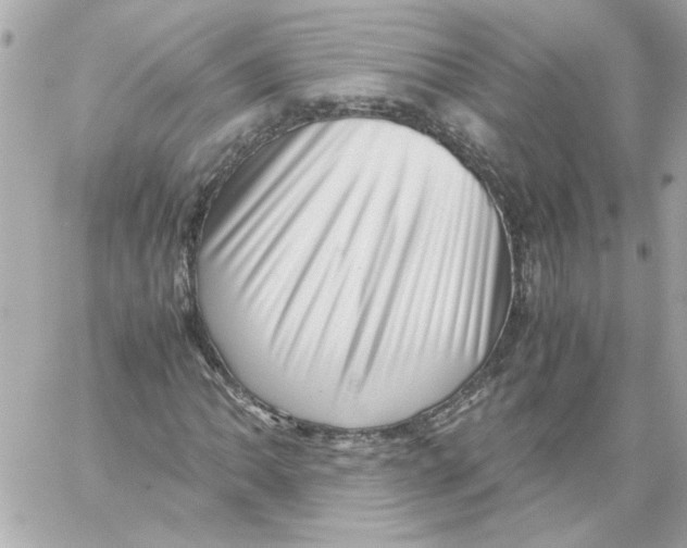 X0000059091062200511041841