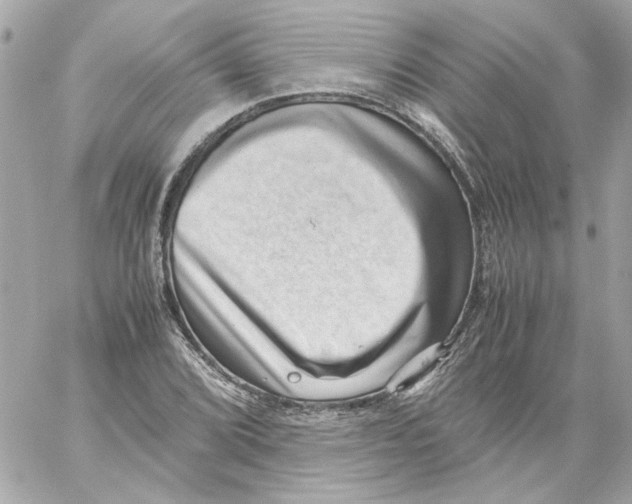 X0000059091072200511041841