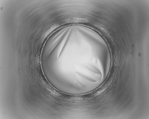 X0000059091073200511041841