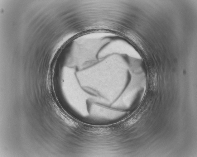 X0000059091076200511041841
